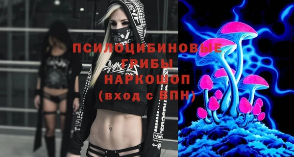 винт Алзамай