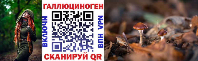 Галлюциногенные грибы прущие грибы Удачный